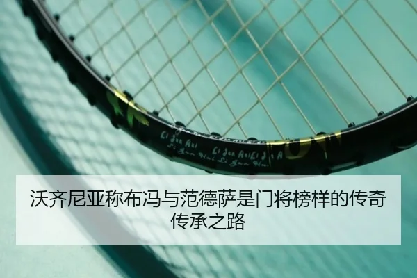 沃齐尼亚称布冯与范德萨是门将榜样的传奇传承之路